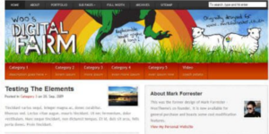 WooThemes Digitalfarm Premium Theme 1.4.3破解版主题
