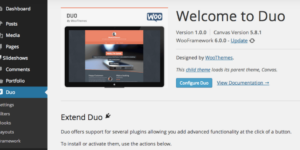 WooThemes Duo Premium Theme 1.2.0破解版主题