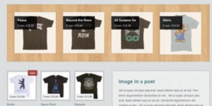 WooThemes Emporium Premium Theme 1.9.3破解版主题