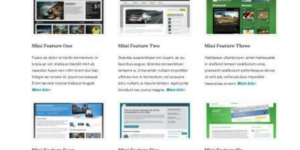 WooThemes Feature Pitch Premium Theme 1.5.0破解版主题