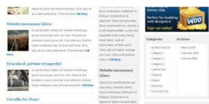 WooThemes Gotham News Premium Theme 3.0.0破解版主题