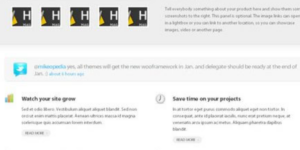 WooThemes Optimize Premium Theme 2.3.6破解版主题