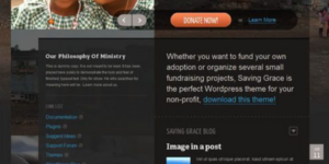 WooThemes Saving Grace Premium Theme 1.1.3破解版主题