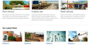 WooThemes Simplicity Premium Theme 1.13.4破解版主题
