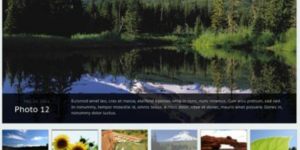 WooThemes Statua Premium Theme 1.3.0破解版主题