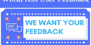 WordPress User Feedback 1.1破解版插件