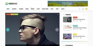 WorldNews Magazine RTL Responsive WordPress 2.5破解版主题