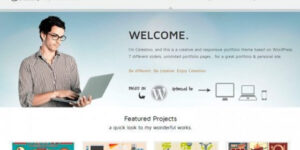 YITH Celestino Premium WordPress Themes 1.7.7破解版主题
