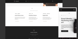YOOTHEME AVANTI WORDPRESS THEME 1.0.7破解版主题