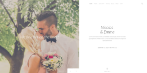 YOOTHEME NIC EM WORDPRESS THEME 1.0.5破解版主题
