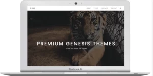 ZigZagPress Dune WordPress Theme 1.2破解版主题