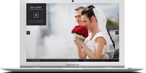 ZigZagPress Gallery WordPress Theme 1.6破解版主题