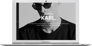 ZigZagPress Karl WordPress Theme 1.1.0破解版主题