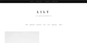 ZigZagPress Lily 1.0.1破解版主题