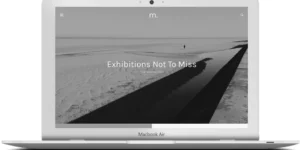 ZigZagPress Minimalis WordPress Theme 1.0.0破解版主题