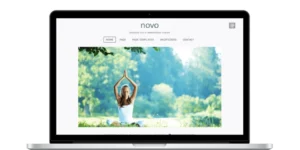 ZigZagPress Novo WordPress Theme 1.2破解版主题