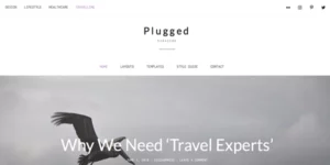 ZigZagPress Plugged 1.3破解版主题