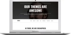 ZigZagPress Single WordPress Theme 1.3.3破解版主题