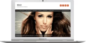 ZigZagPress Solo WordPress Theme 1.7破解版主题