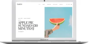 ZigZagPress Tahini WordPress Theme 1.0.0破解版主题