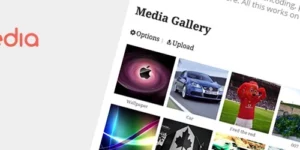 rtMedia Pro 4.6.7破解版插件